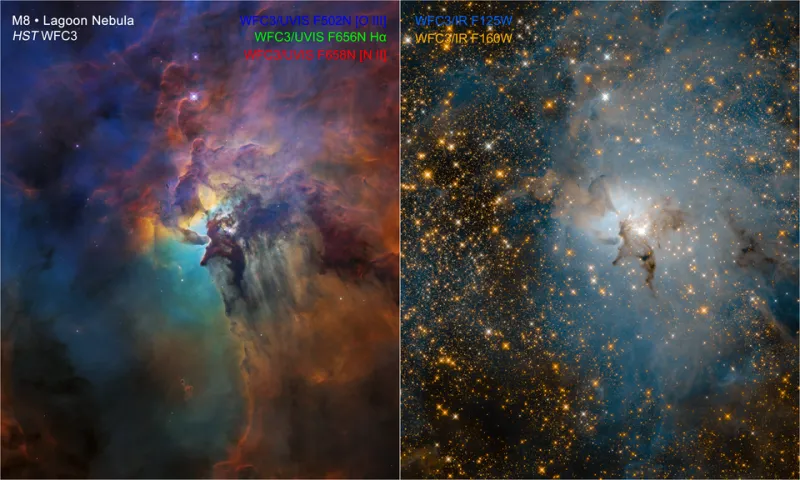 From Hydrogen to Gold: Inside the Stellar Furnaces That Built the Universe